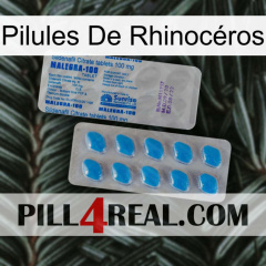 Pilules De Rhinocéros new15